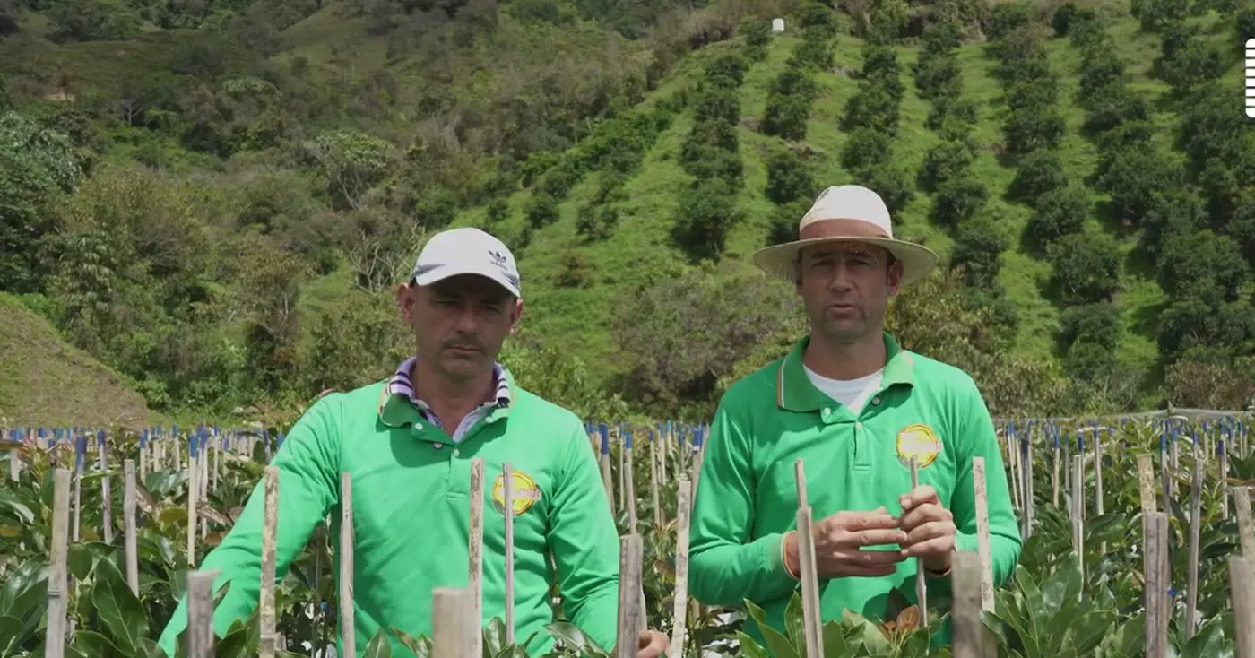 Equipo del vivero